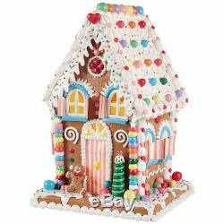 14 LED LIGHTED GINGERBREAD HOUSE Plastic by Raz Imports CHRISTMAS 3919187 NEW