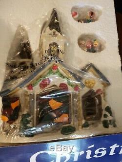 27 pc Lighted Christmas Village House Set with back drops by Big Lots Dept 360