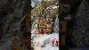 Check This New Lemax 2023 Christmas Village Tea With Mrs Claus