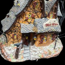 Department 56 Halloween Snow Village Black Widow Dating Service House Retired