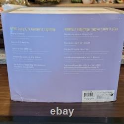 Department 56 Snow Village Easter Egg Painting Studio Illuminated House 2005