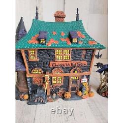 Dept 56 806458 sleepy Witches Hat Tavern sleepy hollow Halloween Village