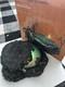 Dept 56 Foggy Point Platform Halloween Village Accessories 809379