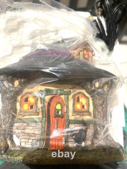 Dept 56 Halloween Witch Hollow Hilda's Witch Haunt 4025341