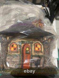 Dept 56 Halloween Witch Hollow Hilda's Witch Haunt 4025341