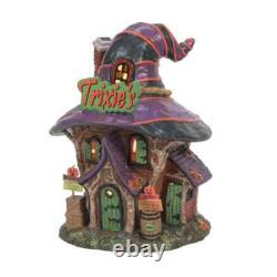 Dept 56 TRIXIE'S TRICKS AND TREATS Halloween Village 2023 Witch Hollow 6011438