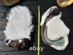 Lemax Massive Lot Christmas Village Landscape Mountain Platforms 1998 Display 14