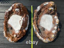 Lemax Massive Lot Christmas Village Landscape Mountain Platforms 1998 Display 14