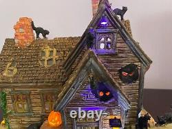 Lemax Spooky Town Vicki's Cattery Ex. Condition, Ceramic, Lights & Sound- Retired