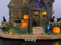 Lemax Spooky Town Vicki's Cattery Ex. Condition, Ceramic, Lights & Sound- Retired