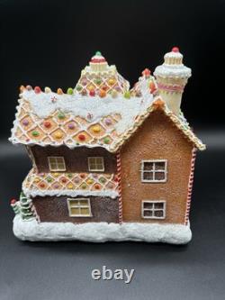 Vintage Fiber Optic Gingerbread House Sam's Club Christmas Holiday Collection