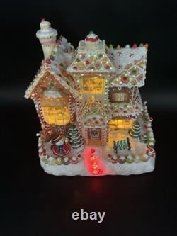 Vintage Fiber Optic Gingerbread House Sam's Club Christmas Holiday Collection