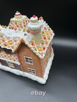Vintage Fiber Optic Gingerbread House Sam's Club Christmas Holiday Collection