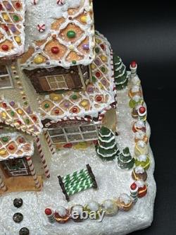 Vintage Fiber Optic Gingerbread House Sam's Club Christmas Holiday Collection