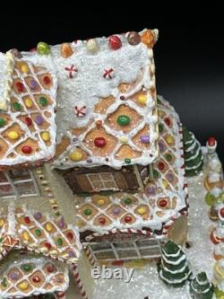 Vintage Fiber Optic Gingerbread House Sam's Club Christmas Holiday Collection