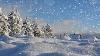Winter Wonderland With Relaxing Piano Music Smart Tv Background Video